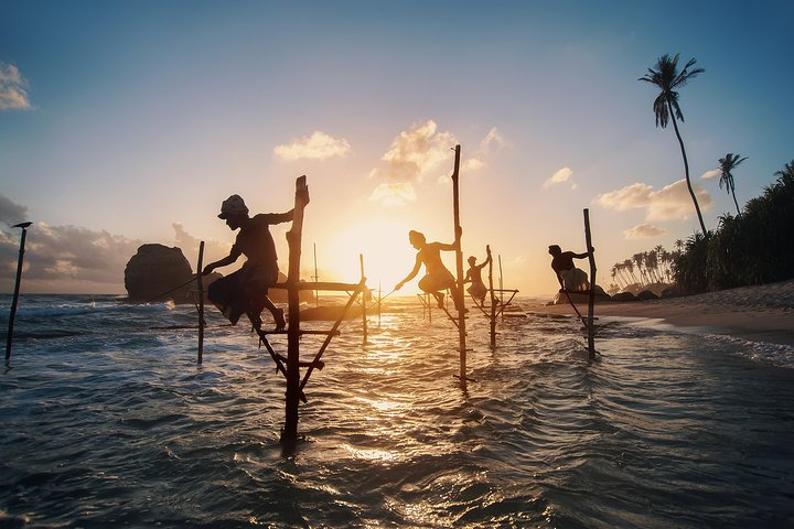 Stilt Fisherman